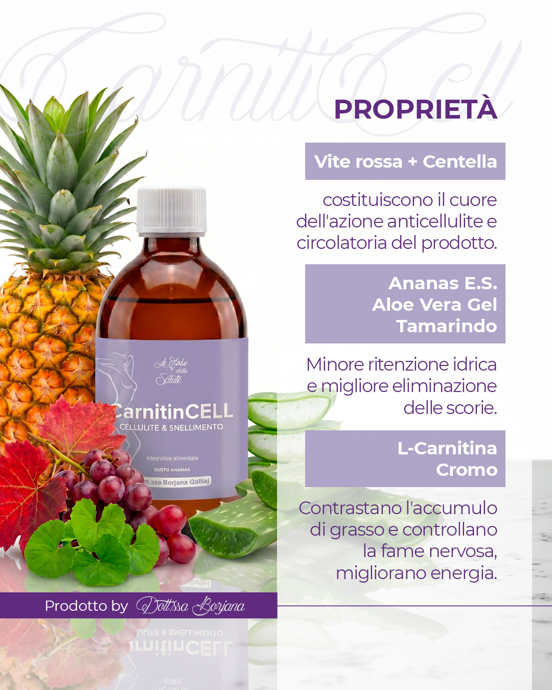 Proprietà di CarnitinCELL: vite rossa, centella, ananas, aloe e L-carnitina per cellulite e microcircolo